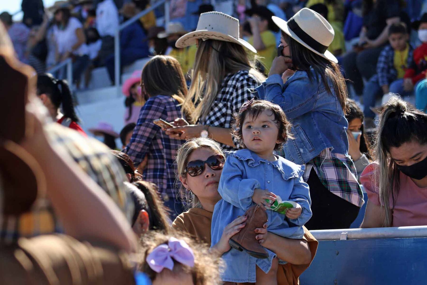 Mini Rodeo